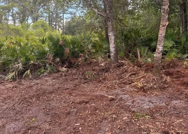 Same lot cleared