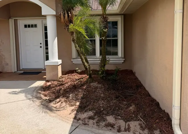 Bushes removed and bed cleaned up
