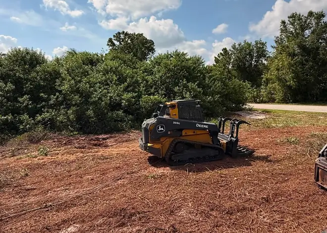 Skid steer working a brush line mid-clearing